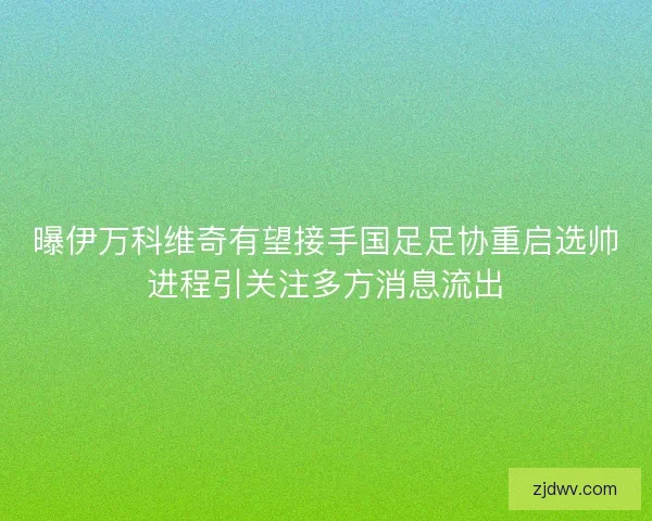 曝伊万科维奇有望接手国足足协重启选帅进程引关注多方消息流出