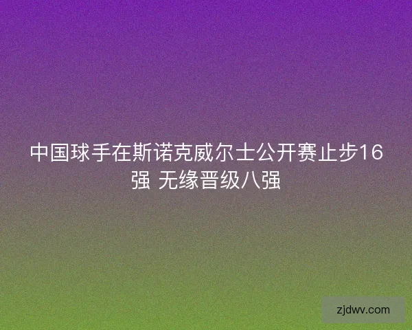 中国球手在斯诺克威尔士公开赛止步16强 无缘晋级八强
